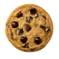 Homemade rich chocolate chip cookie