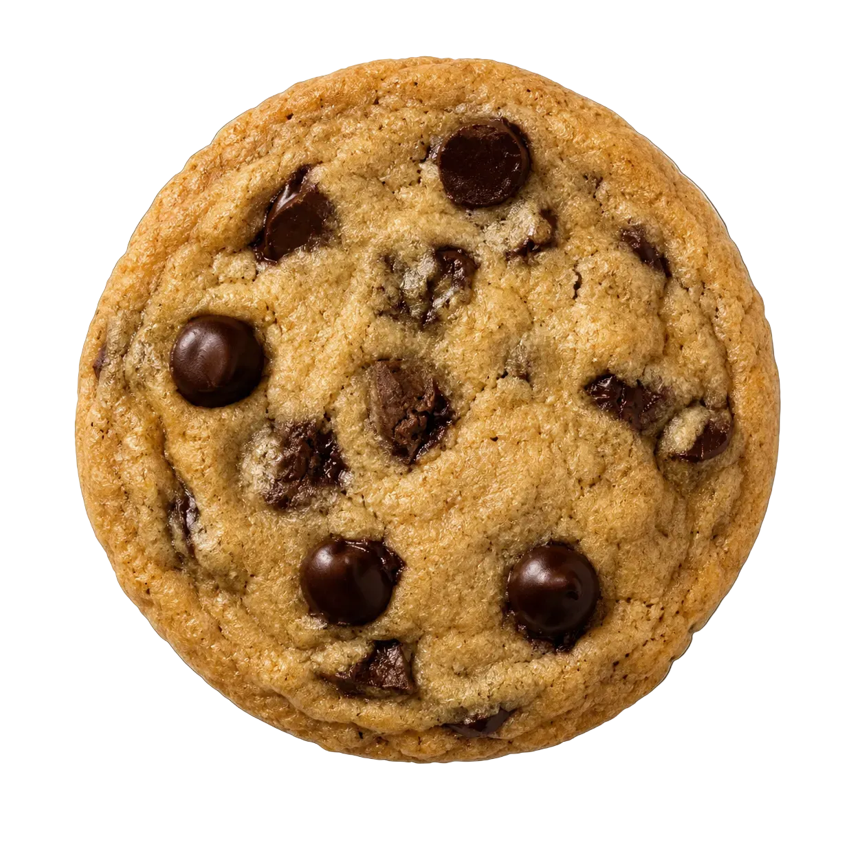 Homemade rich chocolate chip cookie